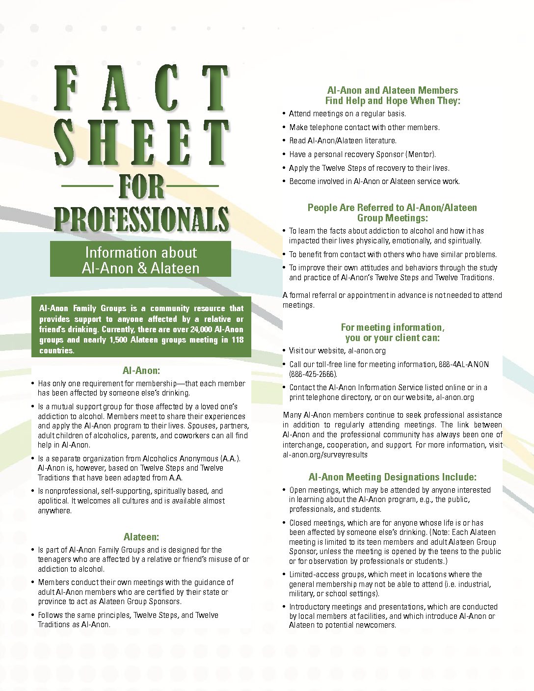 Professional Kit - Image 4